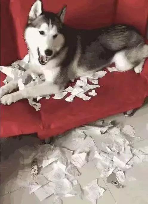 寒假作业丢了你一定很着急吧,开学了作业弄丢了怎么办