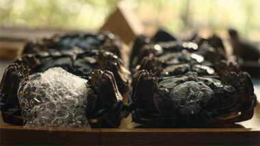 这么大的蟹粉灌汤包你吃过吗,用蟹粉烹制美味可口的蟹粉汤包