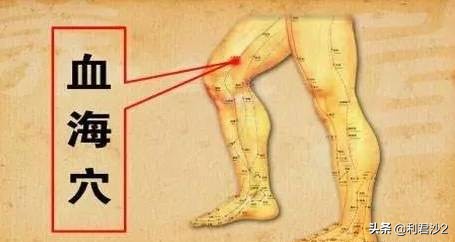 补脾是一切疾病的治疗关键