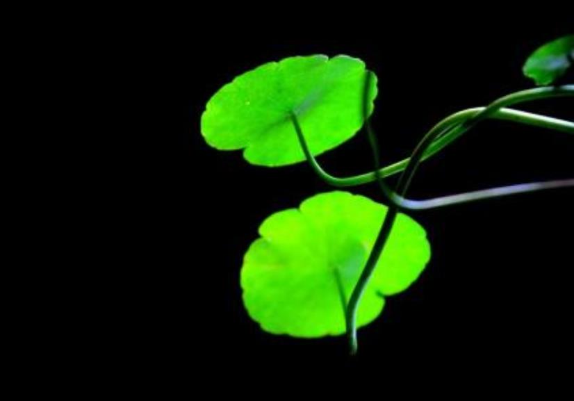 做人要懂得投资自己,做人赚钱的原则