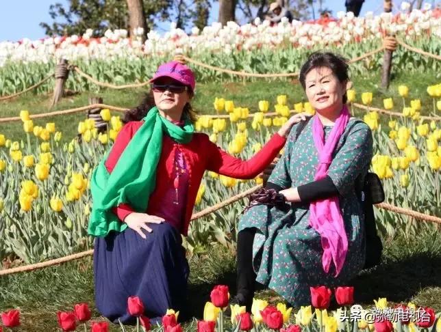 太热闹!弥勒花海、人海、车海、舞海...这些人上镜了!