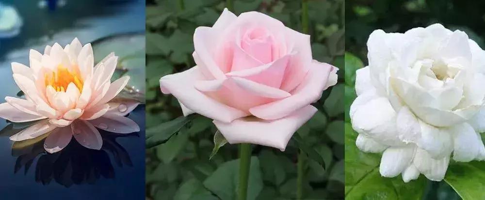 资生堂男士护肤品高端品牌,资生堂爸爸化妆品推荐