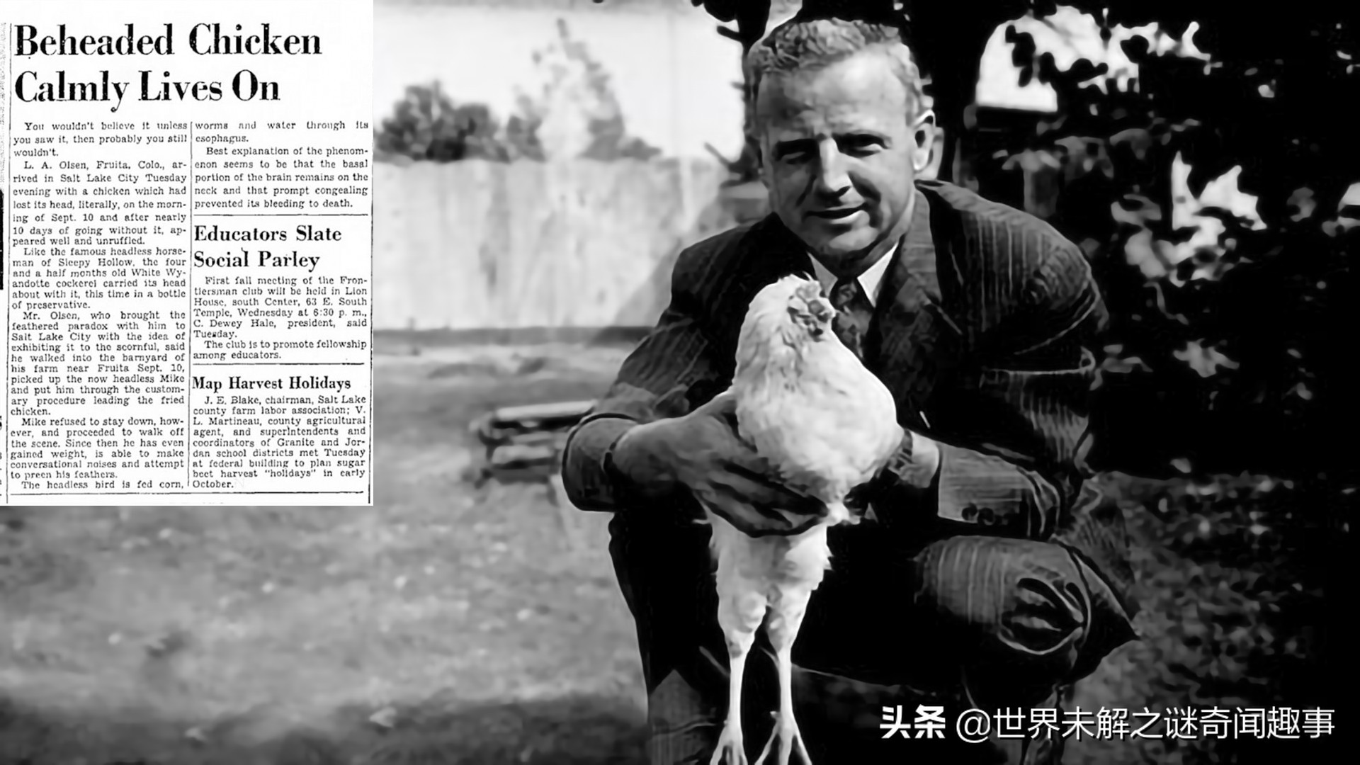 没有脑子还能活的动物,没有脑子的人存活的案例