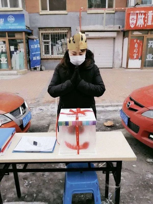 美丽迎春花开了,迎春花盛开的绝美春日盛景