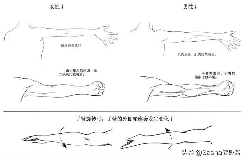 手臂的拜拜肉练什么动作最好,瑜伽减手臂拜拜肉最有效的动作