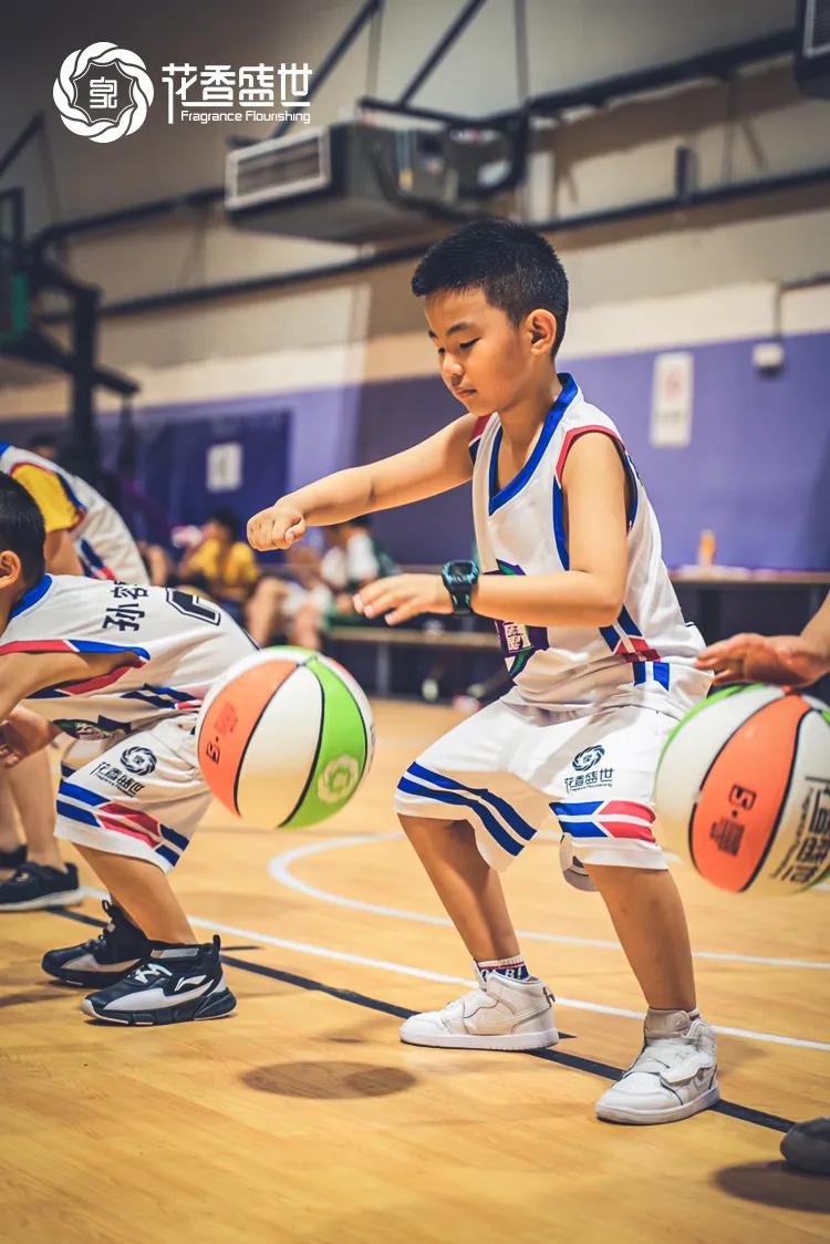 中国小篮球运动规则图解,小篮球基础技术动作规范