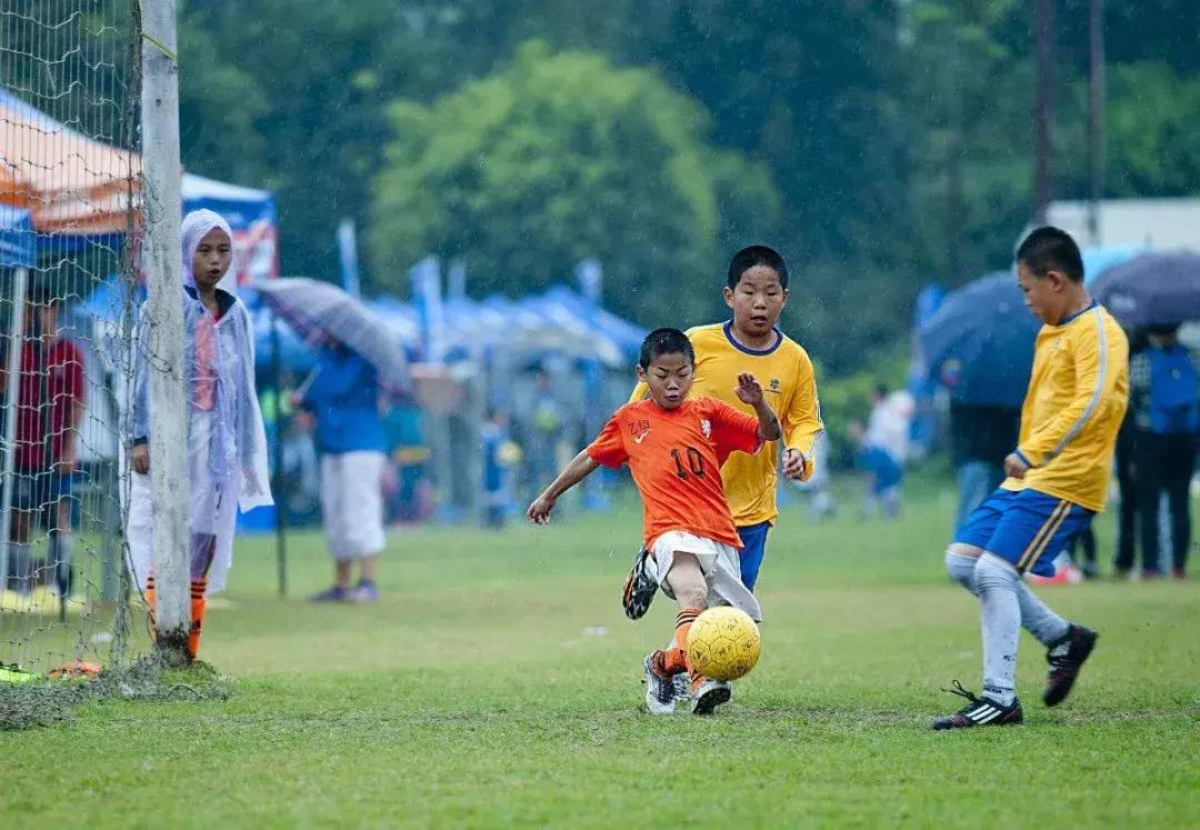足球特色幼儿园安徽,安徽省教育厅足球