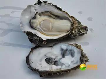 舟山海鲜攻略2天1晚住宿自由行,舟山最好的海鲜