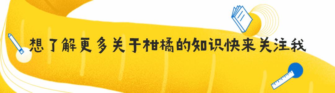 本轮寒潮对春耕的影响,什么药防治柑橘沙皮病虫害