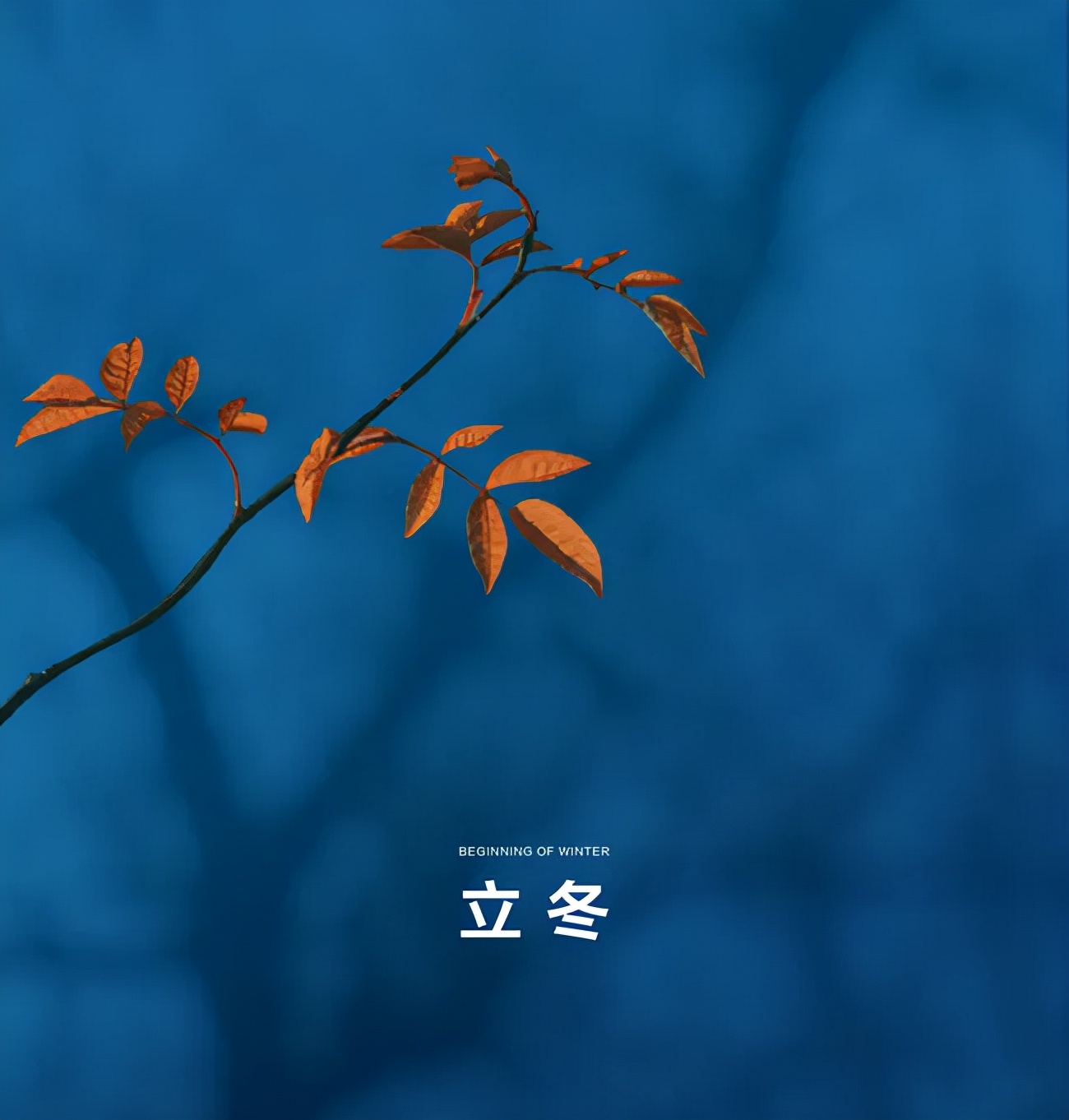 立冬的100首诗,凛冬将至北风呼啸