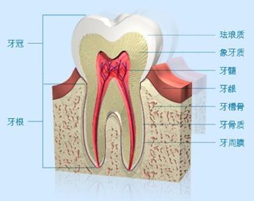 牙疼医生为什么不建议吃止疼药,牙痛医生束手无策找不到病因