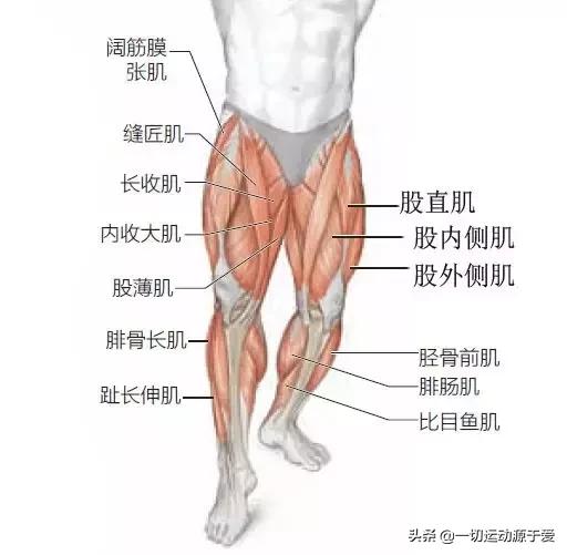 跑步后腿疼怎么解决,一跑步就腰疼怎么办