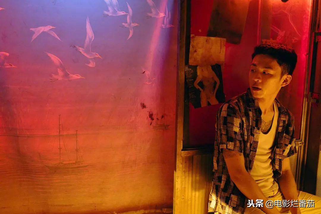 有关地球最后的夜晚的电影,地球最后的夜晚全片