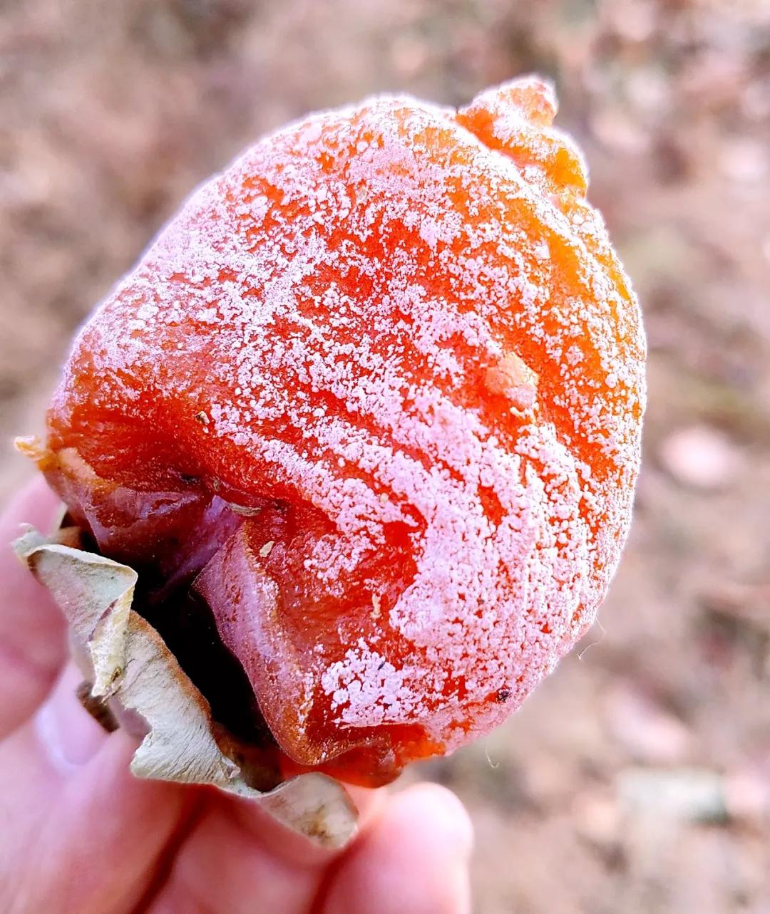 自然风干柿子,柿子风干的方法