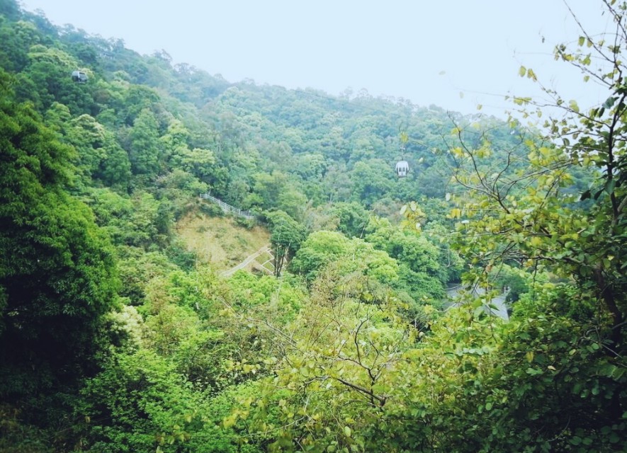 广州白云山风景区有山爬吗,广州白云山哪个入口风景最好