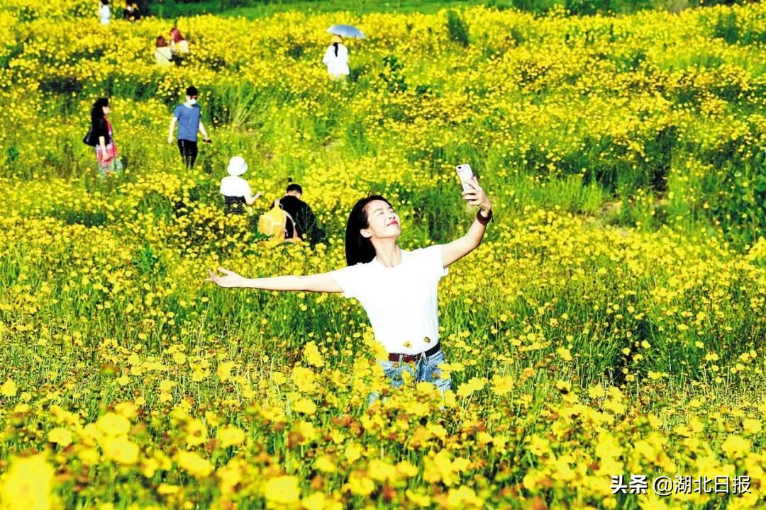 长文最新更新视频,重磅文章最新