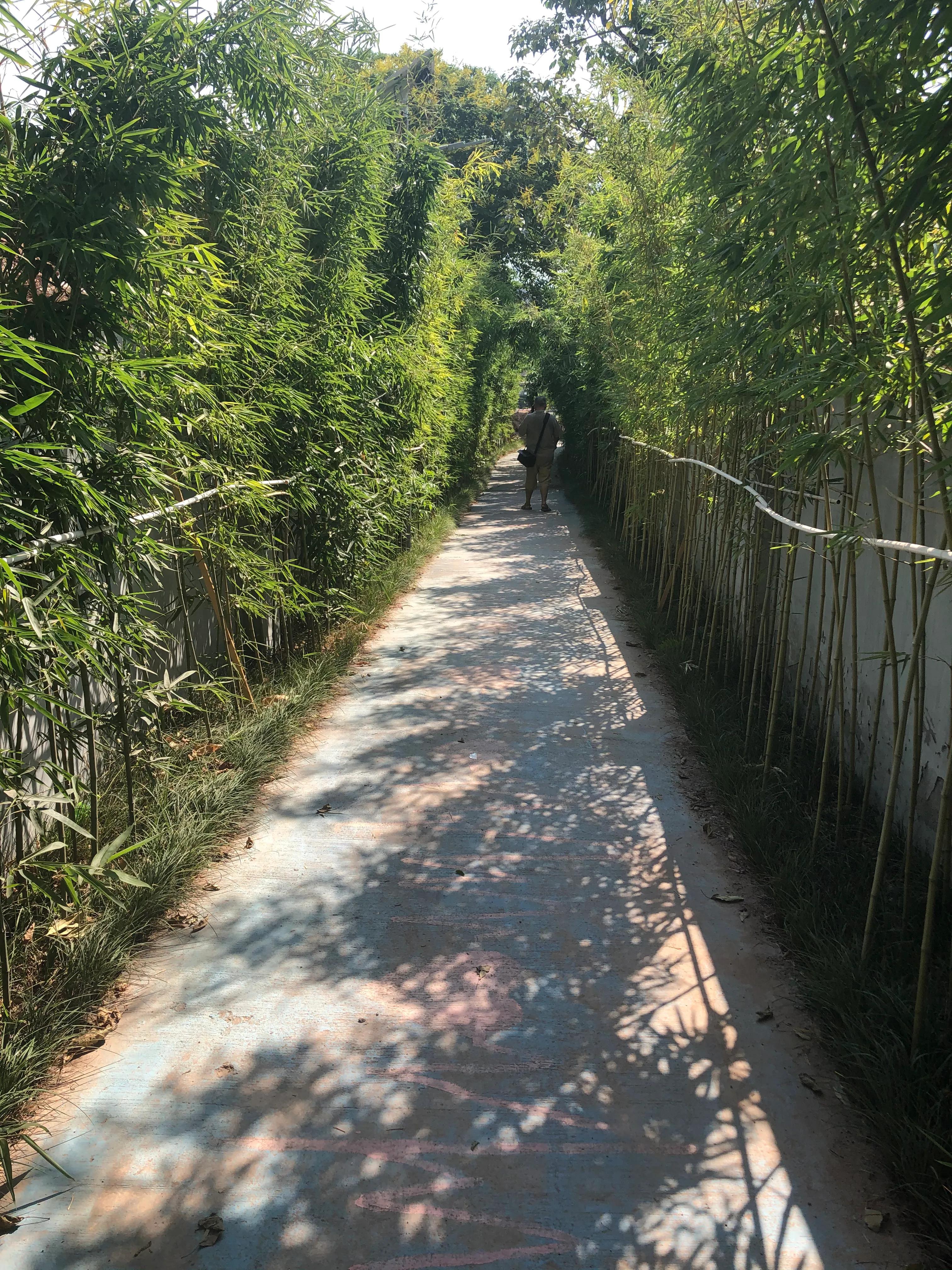 婕閲嶅簡瑙嗛,婕閲嶅簡