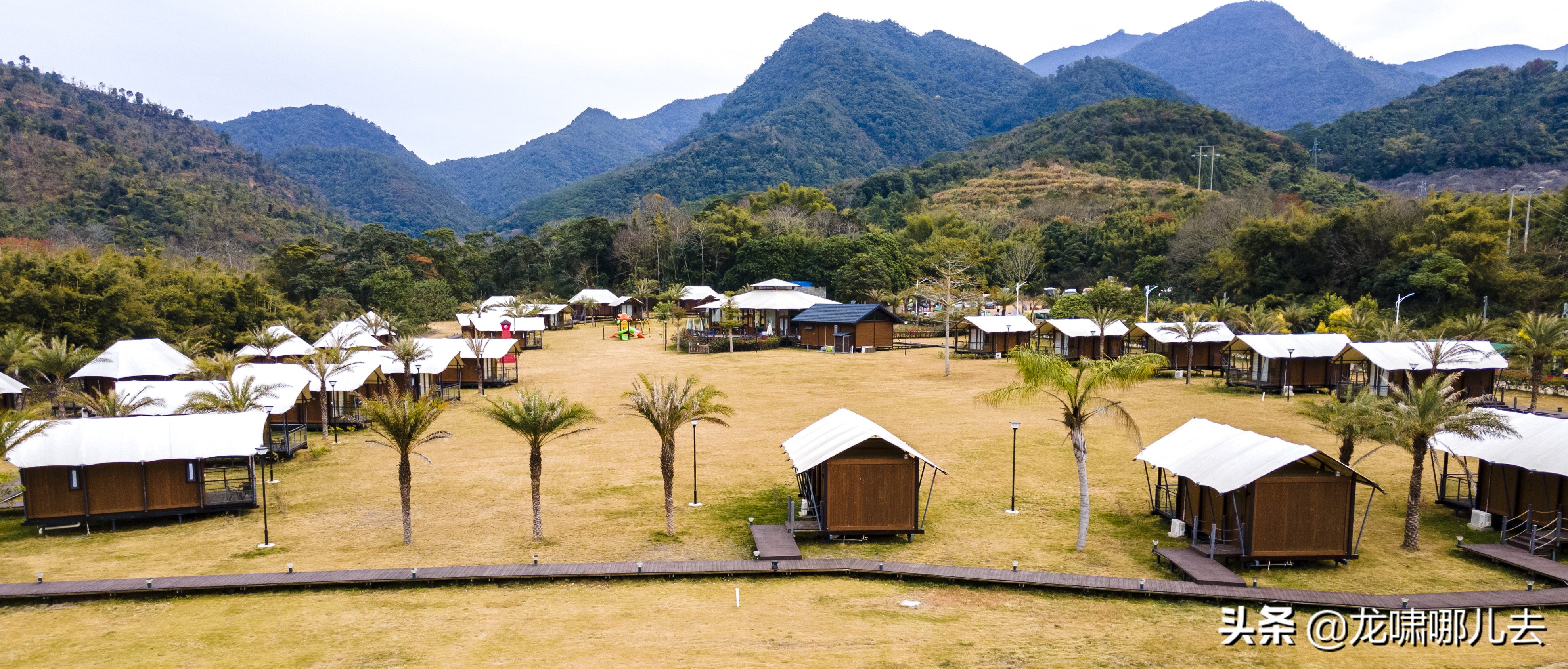 梁化梅园梅花观赏最佳时间,惠州梁化梅园看梅花时间