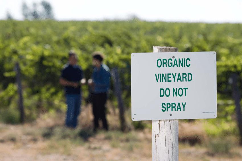 有机认证如何辨认真假,怎样识别有机认证真假