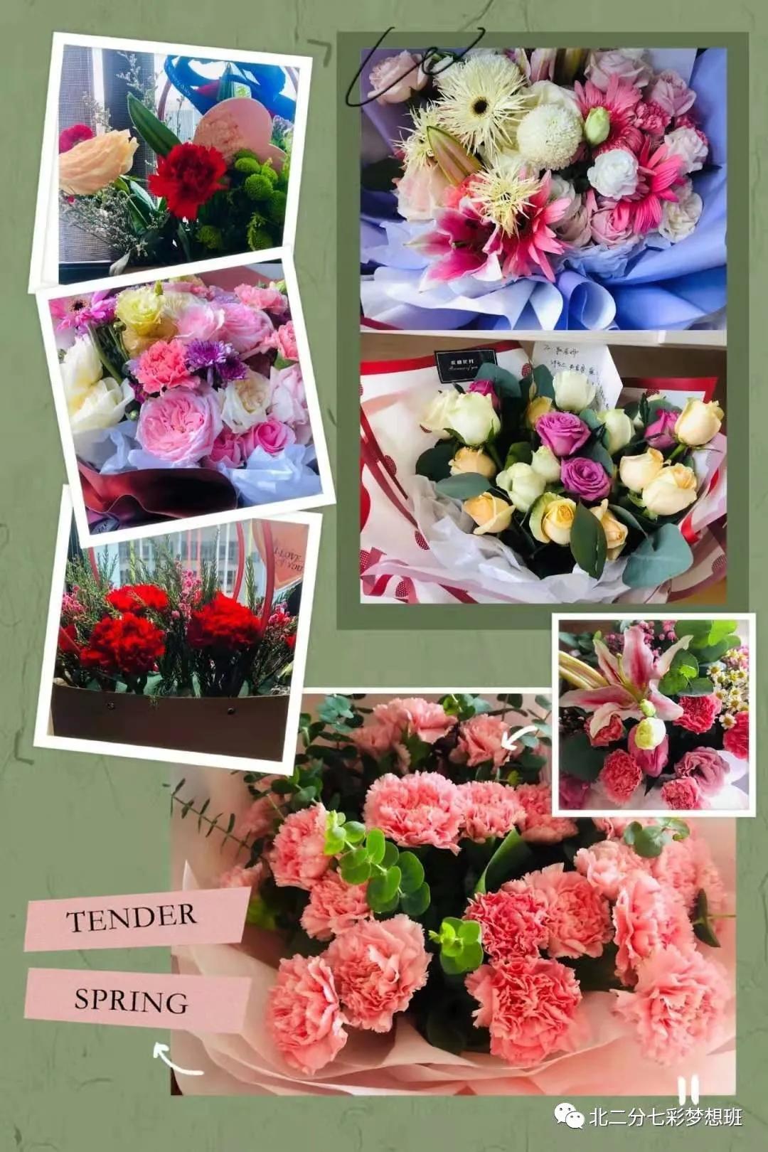 谱和谐之曲走奋进之路——延新一小五年级七班和谐团队申报专题