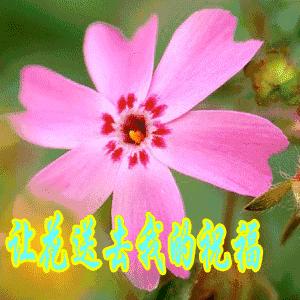 11.15,我把祝福送给你，幸福你每一秒，早晨好！