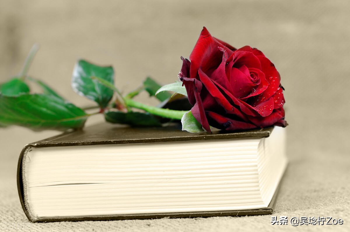 英翻中会被查重吗,英翻还有前景吗