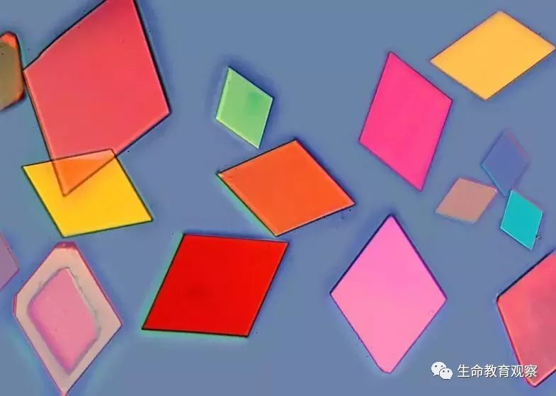 看完后，整个人都有点不对劲了（传播生物知识）