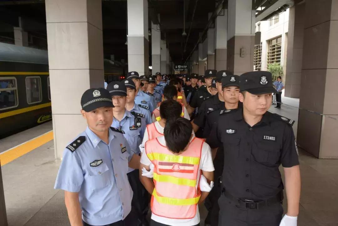 虫草姑娘卖茶被骗,虫草姑娘卖茶妹