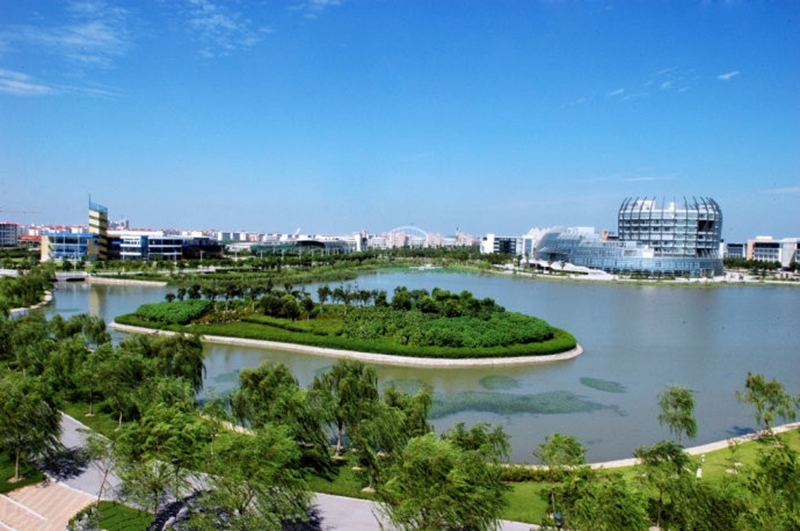 东华大学优势专业,东华大学优势学科