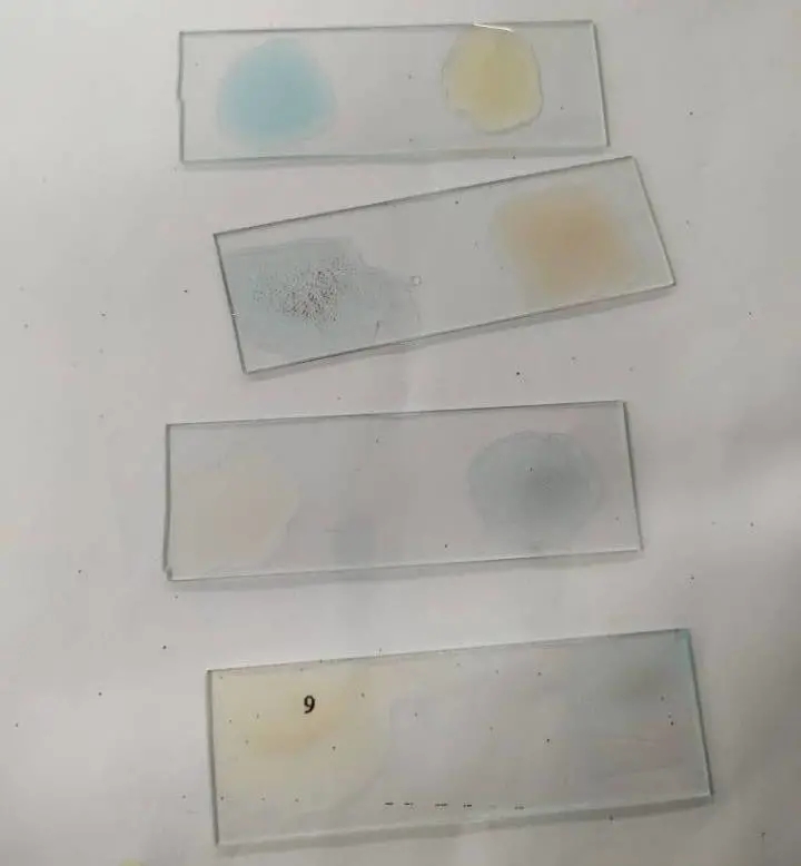 医学生学习打卡做题,医学生学习成果检验视频