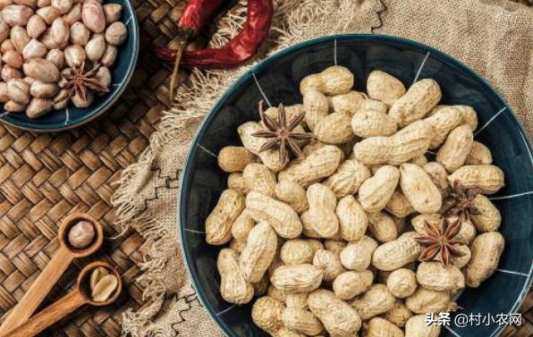 不出去打工有什么赚钱的方法,适合农村的创业行业