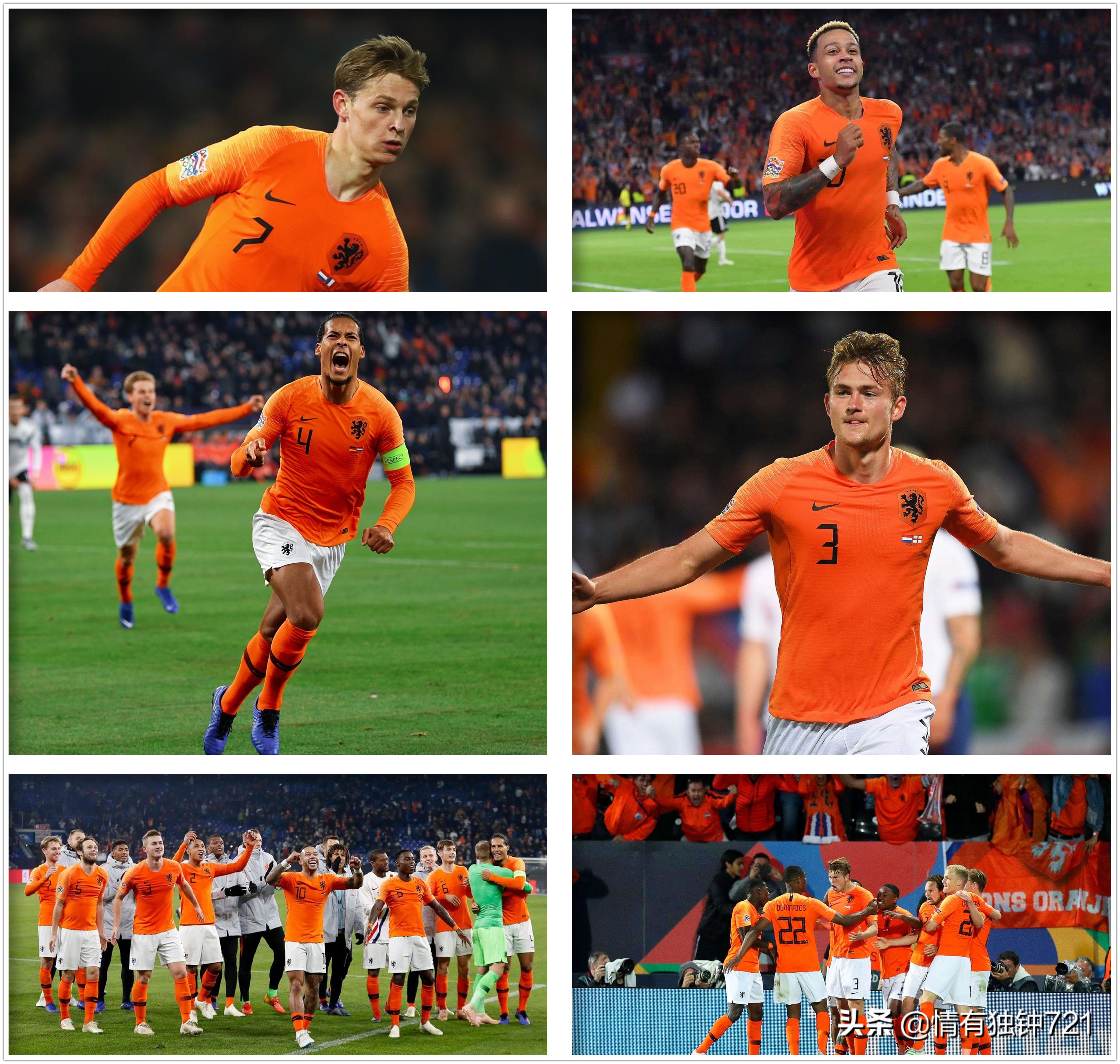 郁金香将再次绽放荷兰,郁金香再次怒放荷兰足球