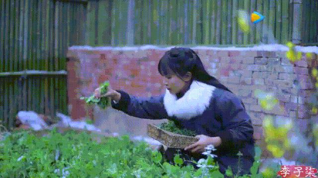 看了李子柒的视频的感受,看完李子柒后的感受