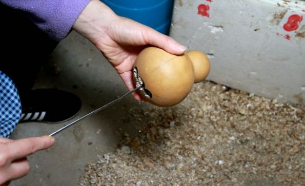 自制葫芦丝手工教程,葫芦丝的制作方法及视频教程