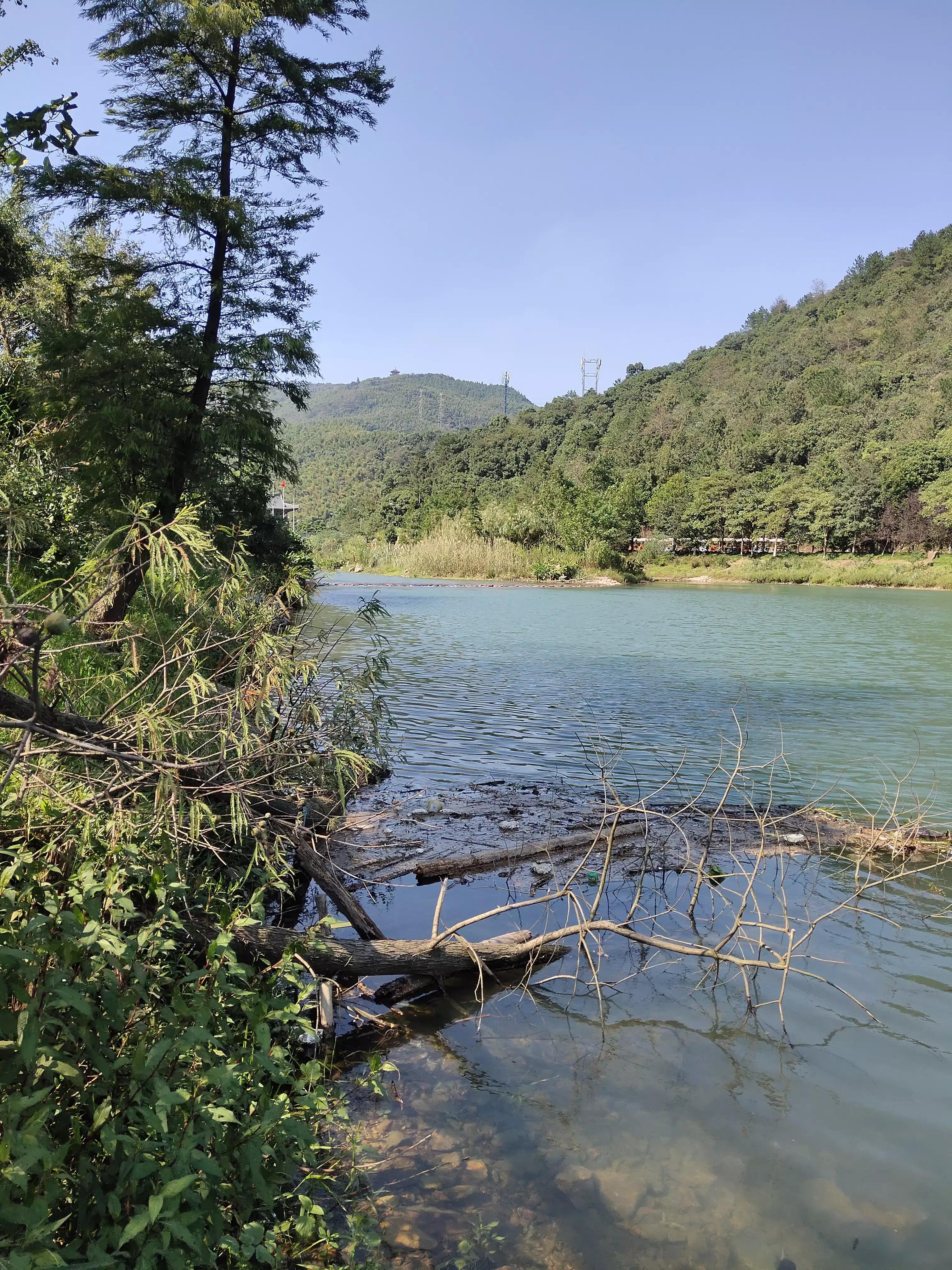 秋季宁波钓鱼,秋钓深潭