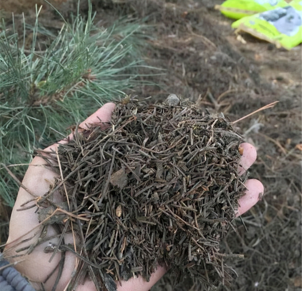 家庭养花的垃圾处理,垃圾养花有哪些好处