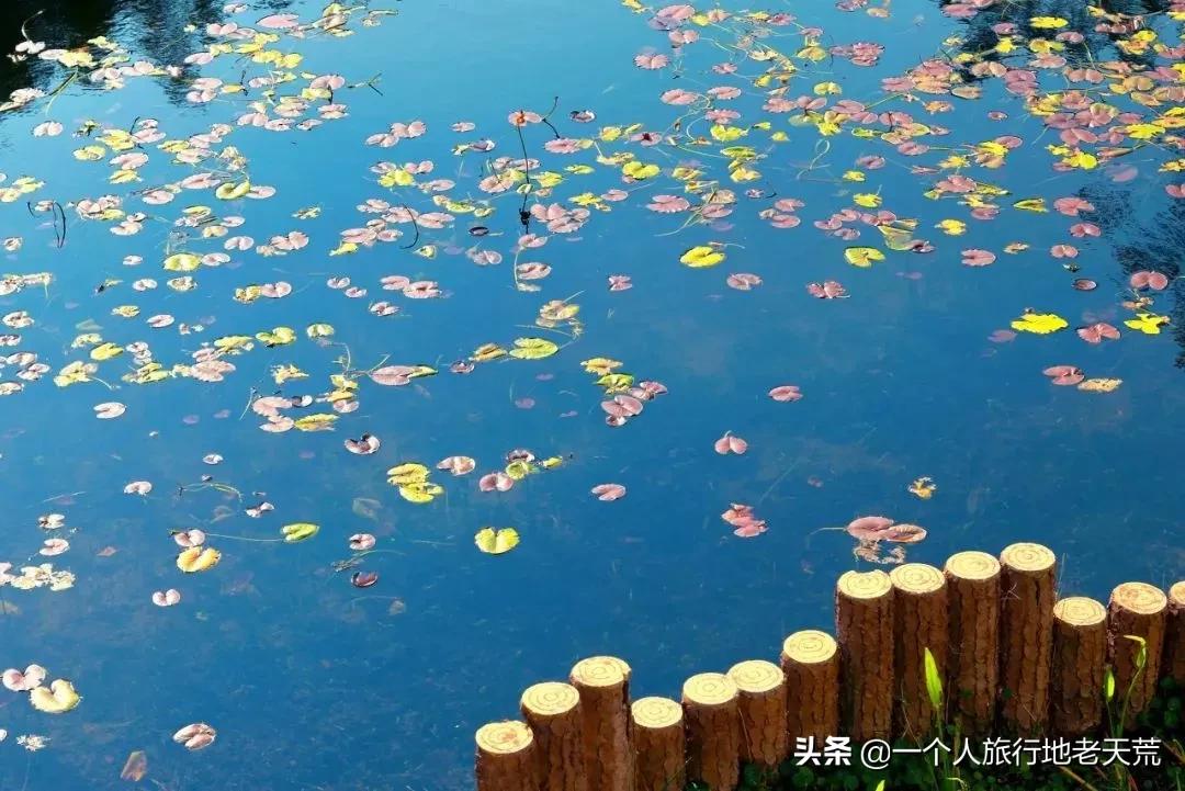 广西哪些城市是靠一碗粉火起来的,凭一碗螺蛳粉征服世界