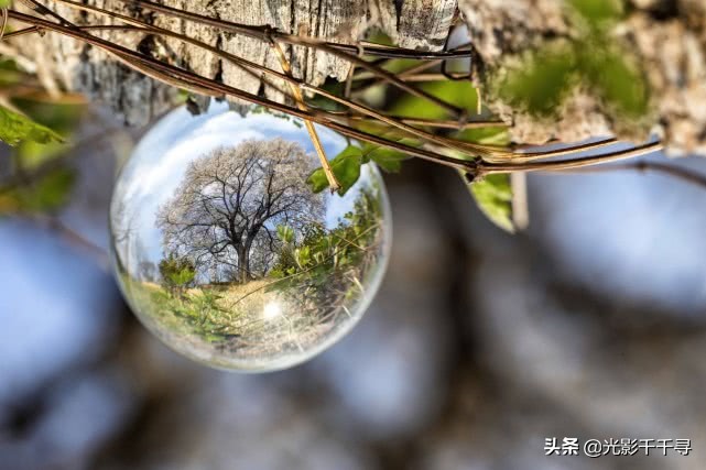 如何利用水晶球摄影,玩转摄影小技巧