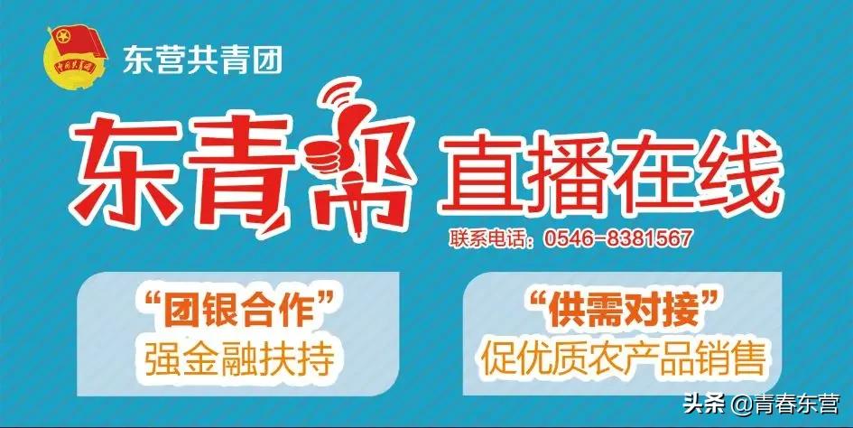 高沟村多肉种植基地直播,中庄多肉种植基地直播