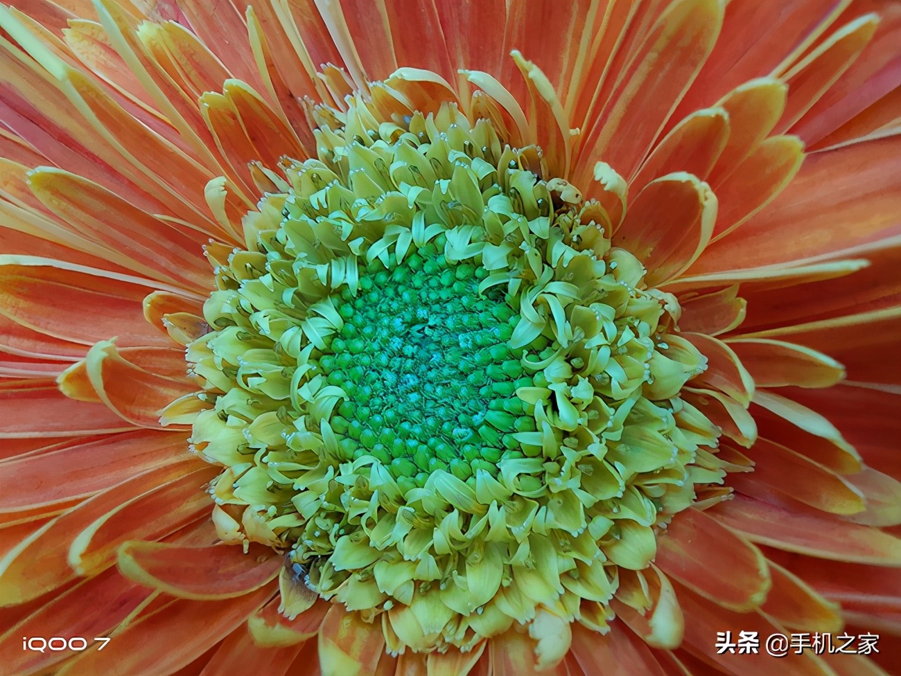 iqooneo5s和iqoo7更推荐哪个,iqoo7的30w快充有多快