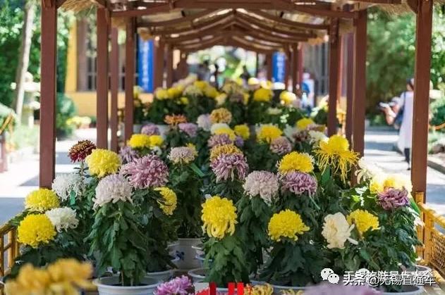 无锡唯有美食与你不可辜负,无锡夏日特色美食有哪些