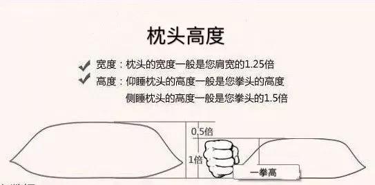保护颈椎用什么枕头最好,十大颈椎枕头品牌