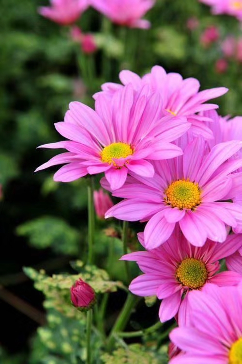 做人要圆做事要方,做人要方做事要圆