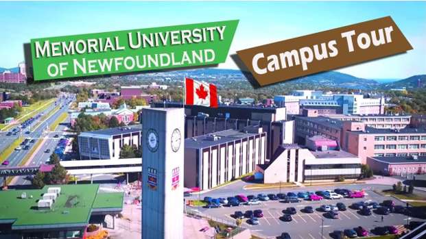 在加拿大租房是宫斗剧：盘点遇上的奇葩租客