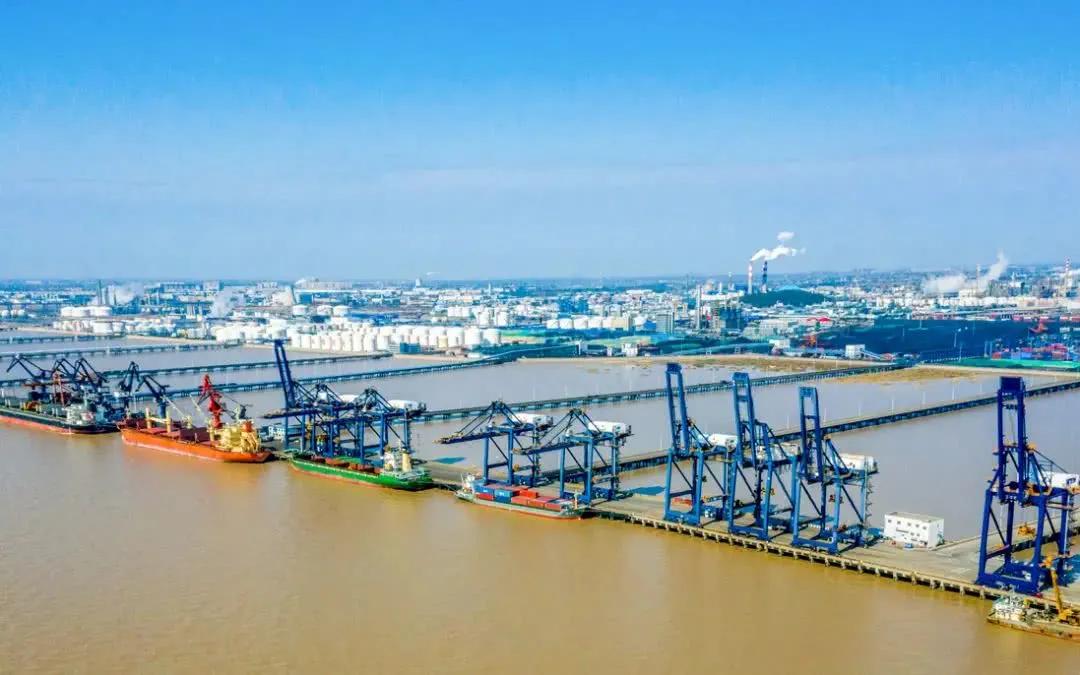 嘉兴粽子为什么这么出名,浙江嘉兴最出名的粽子是