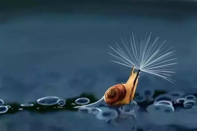 凤凰涅槃,凤凰浴火涅槃重生