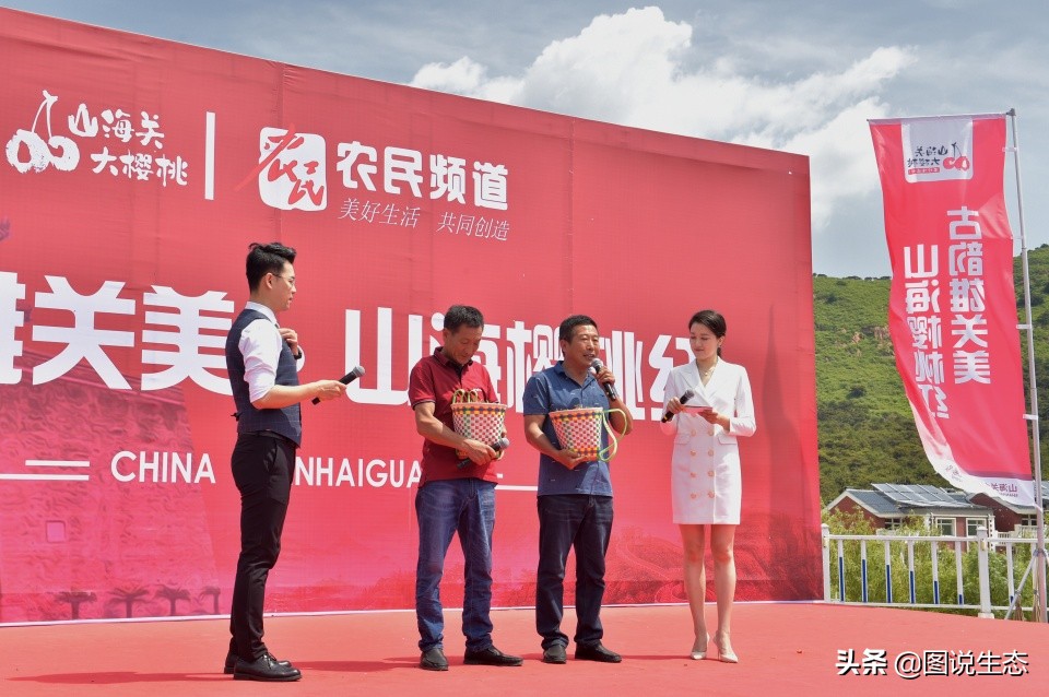 山海关:一沟大樱桃换来半坡别墅