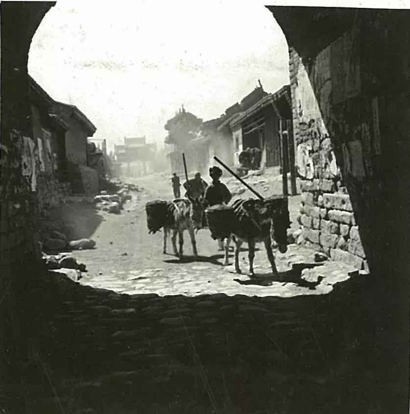 你可能没见过的姓氏,你可能没见过的日语