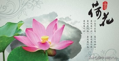 有哪些描写夏季荷花的绝美的诗词,夏天荷叶荷花池塘的诗词