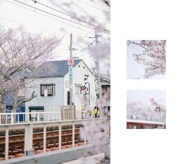 学习日语都要做些什么,学习日语都需要学什么